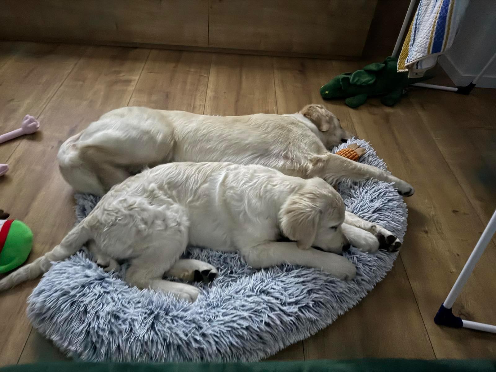 Enzo a Beky spolu vo vani